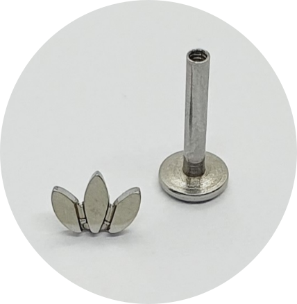 Labret Mini Navete (Natural, PVD Gold e Rose Gold)