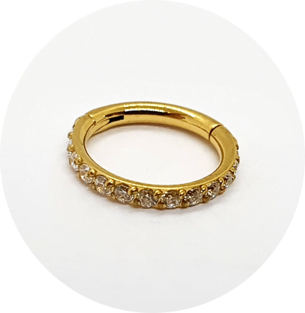 Segmento Articulado Zircônias cravejadas PVD Gold