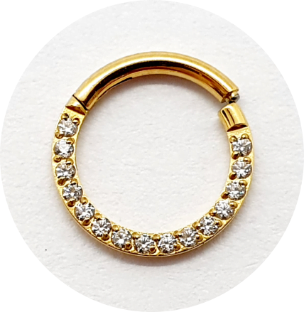 Segmento Articulado Zircônias cravejadas Frontal PVD Gold