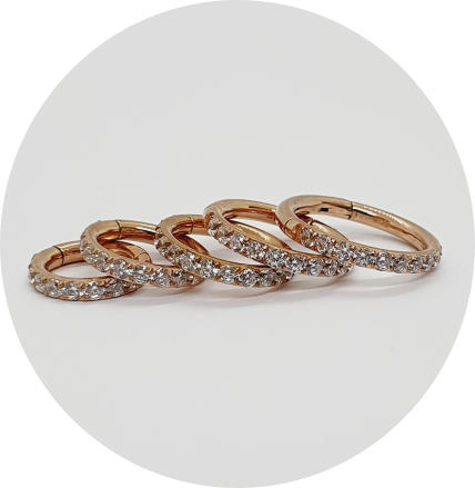 Segmento Articulado Zircônias cravejadas PVD Rose Gold