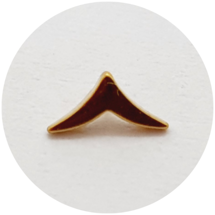 Labret Mini Andorinha PVD Gold - haste em titânio natural