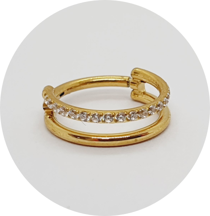 Segmento Articulado Zircônia cravejada Duplo espaçado PVD Gold- 1 fileira