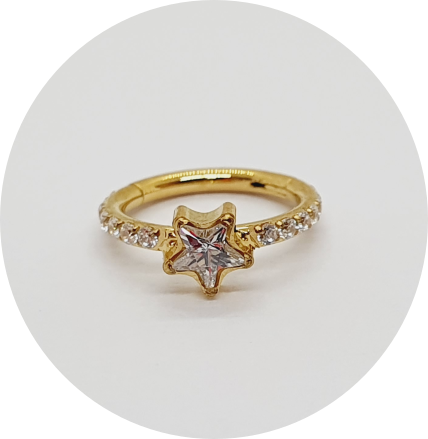 Segmento Articulado Estrela com Zircônias cravejadas PVD Gold