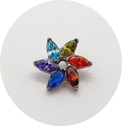 Labret Mini Flor de navetes Zircônia Multicor 6P
