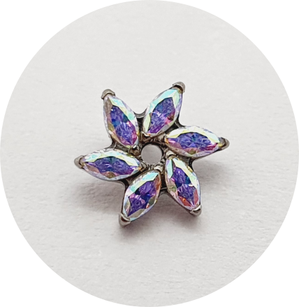 Labret Mini Flor de navetes Zircônia Furta-cor 6P