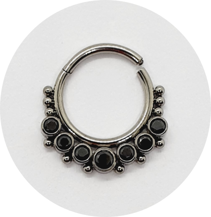 Segmento Articulado Zircônia Black 7P 12B